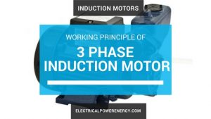 3 Phase AC Induction Motor